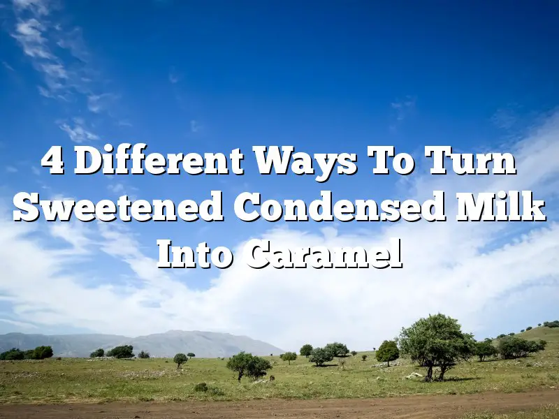4 Different Ways To Turn Sweetened Condensed Milk Into Caramel