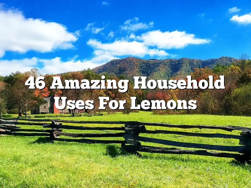 46 Amazing Household Uses For Lemons