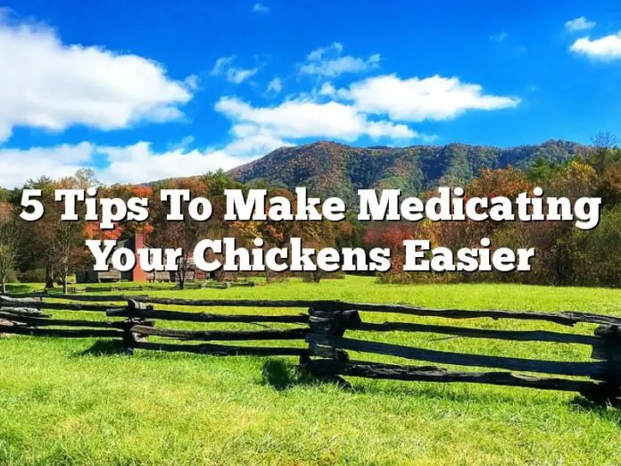 5 Tips To Make Medicating Your Chickens Easier