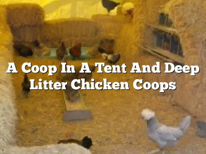 A Coop In A Tent And Deep Litter Chicken Coops