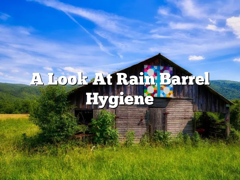 A Look At Rain Barrel Hygiene