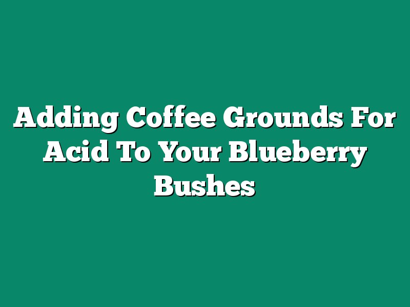 Adding Coffee Grounds For Acid To Your Blueberry Bushes