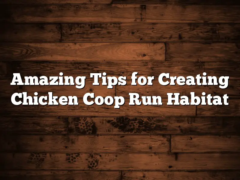 Amazing Tips for Creating Chicken Coop Run Habitat