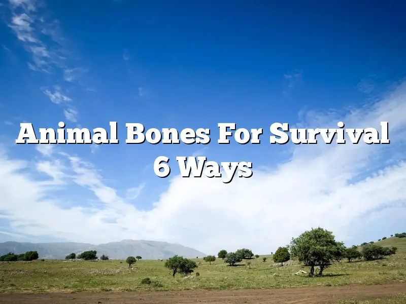 Animal Bones For Survival 6 Ways