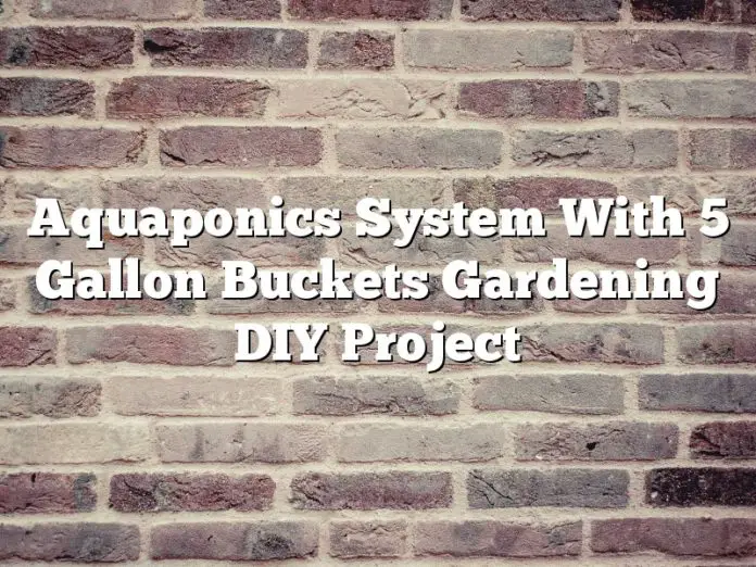Aquaponics System With 5 Gallon Buckets Gardening DIY Project