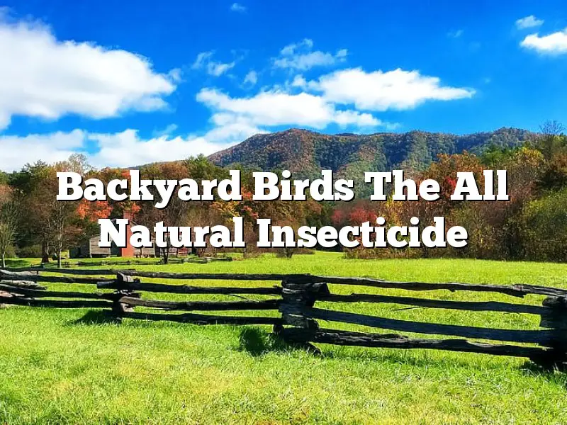 Backyard Birds The All Natural Insecticide