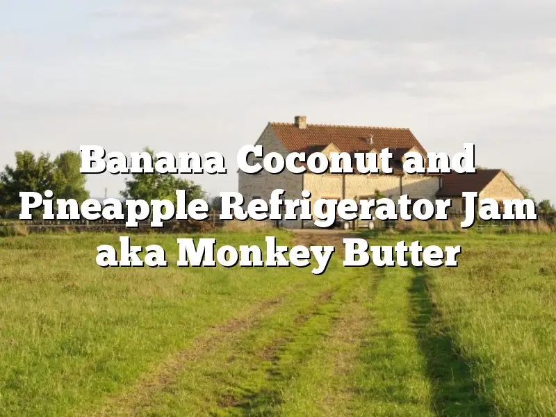 Banana Coconut and Pineapple Refrigerator Jam aka Monkey Butter