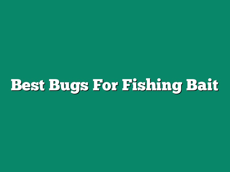 Best Bugs For Fishing Bait