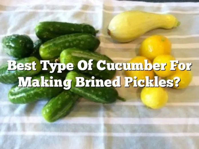 Best Type Of Cucumber For Making Brined Pickles?