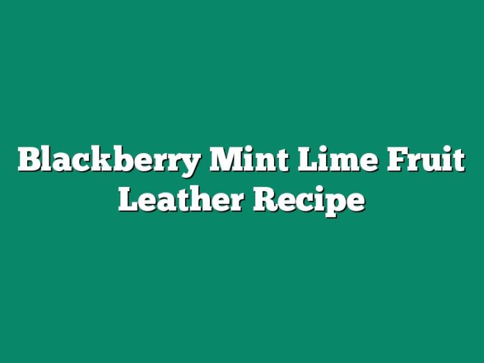 Blackberry Mint Lime Fruit Leather Recipe