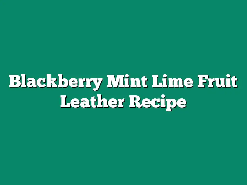 Blackberry Mint Lime Fruit Leather Recipe