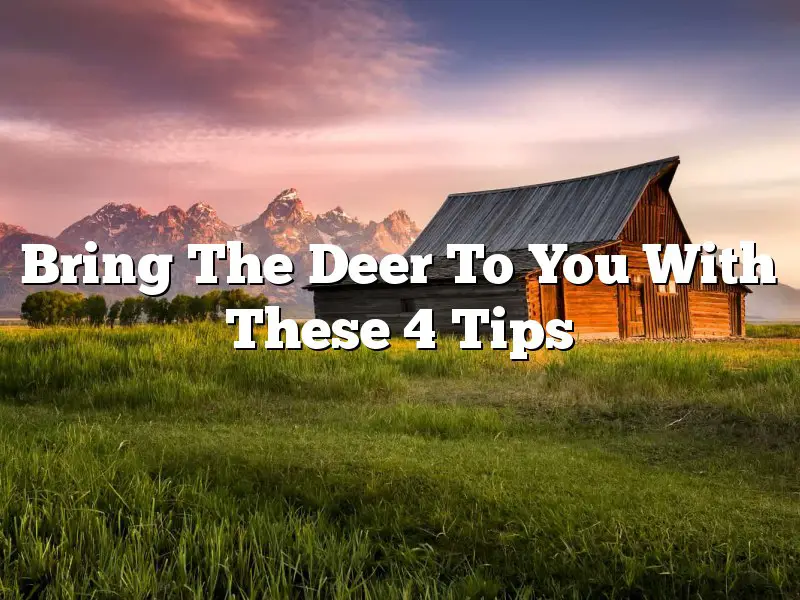 Bring The Deer To You With These 4 Tips