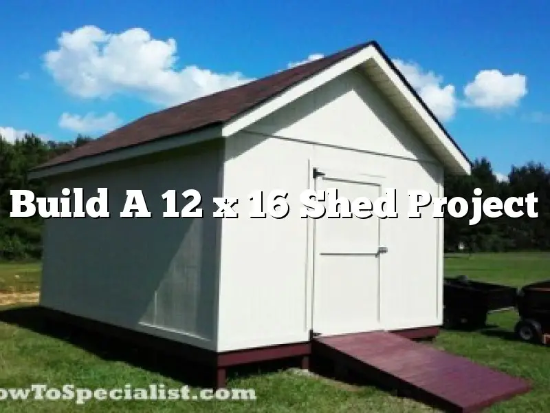 Build A 12 x 16 Shed Project