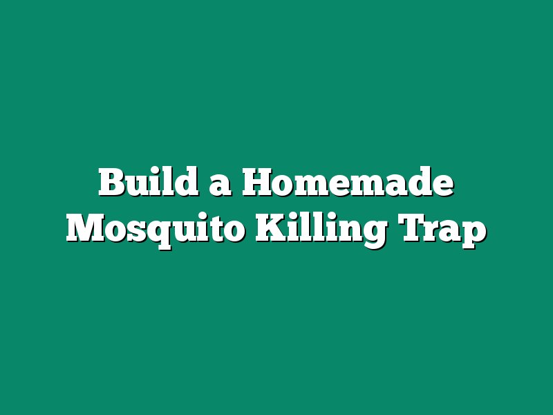 Build a Homemade Mosquito Killing Trap