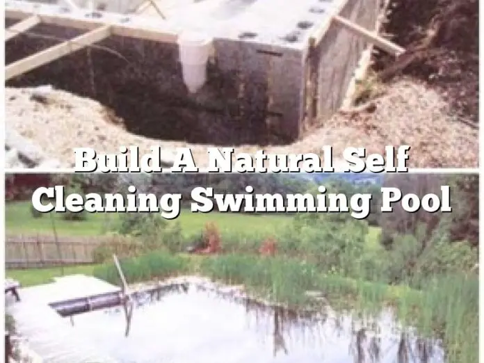 Build A Natural Self Cleaning Swimming Pool
