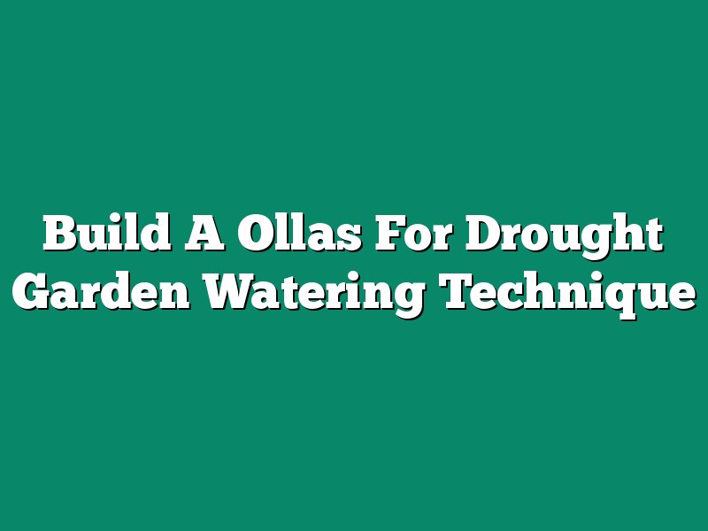Build A Ollas For Drought Garden Watering Technique