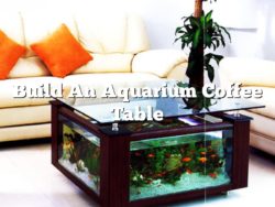 live edge coffee table aquarium