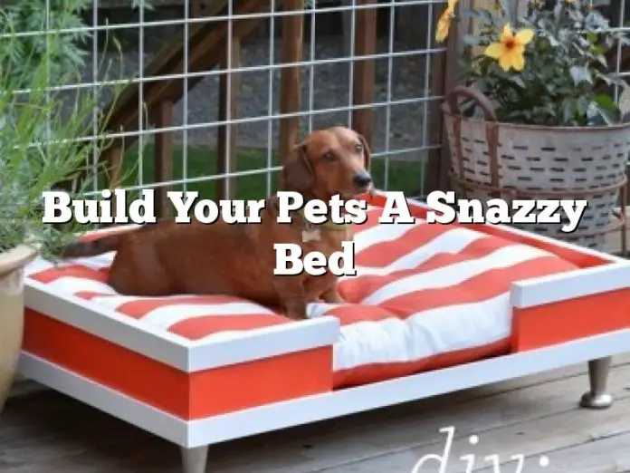 Build Your Pets A Snazzy Bed