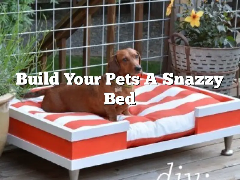 Build Your Pets A Snazzy Bed