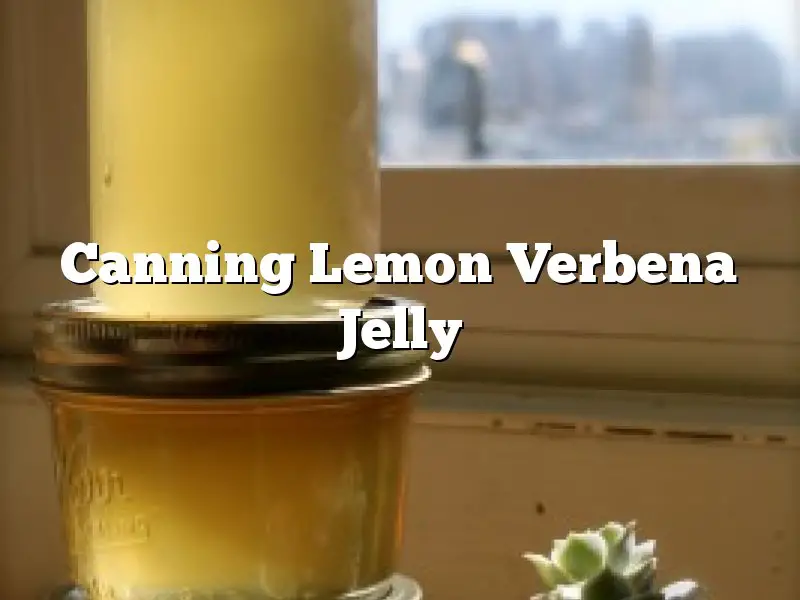 Canning Lemon Verbena Jelly