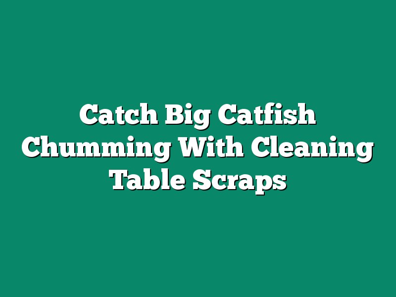 Catch Big Catfish Chumming With Cleaning Table Scraps