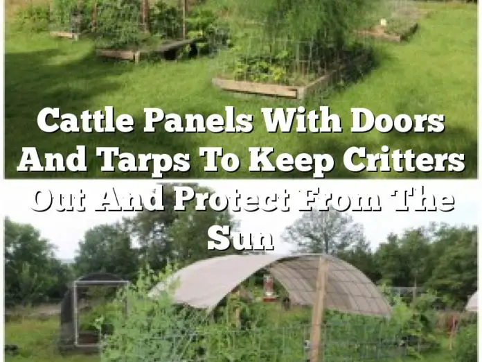 Cattle Panels With Doors And Tarps To Keep Critters Out And Protect From The Sun