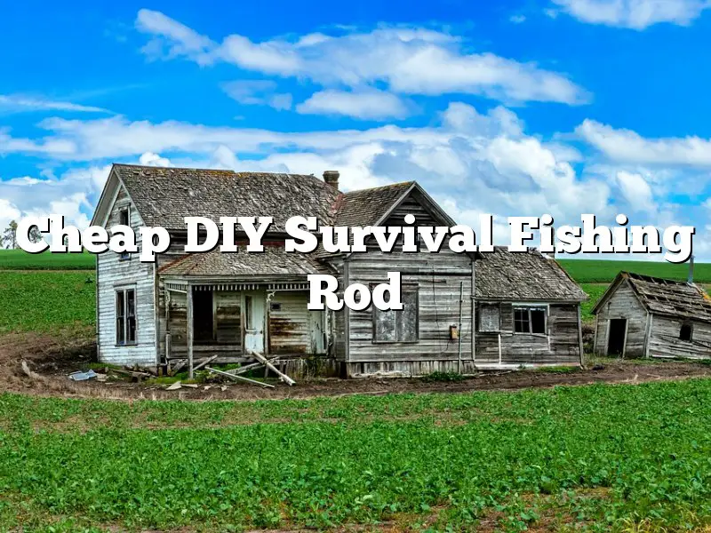 Cheap DIY Survival Fishing Rod