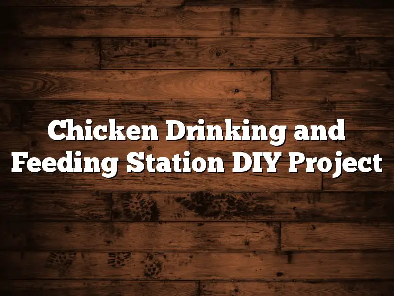 Chicken Drinking and Feeding Station DIY Project