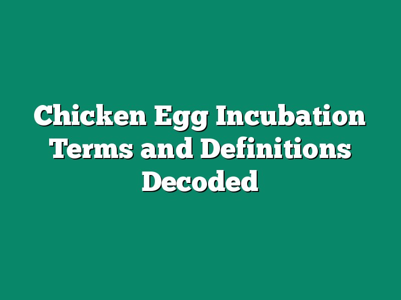 Chicken Egg Incubation Terms and Definitions Decoded