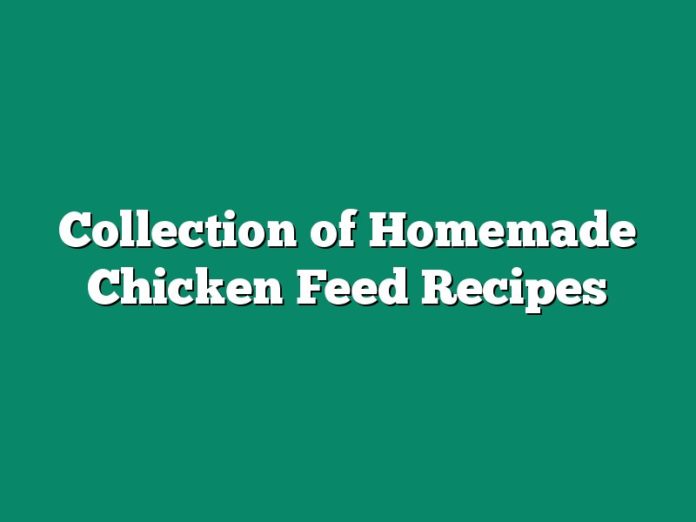 Collection of Homemade Chicken Feed Recipes