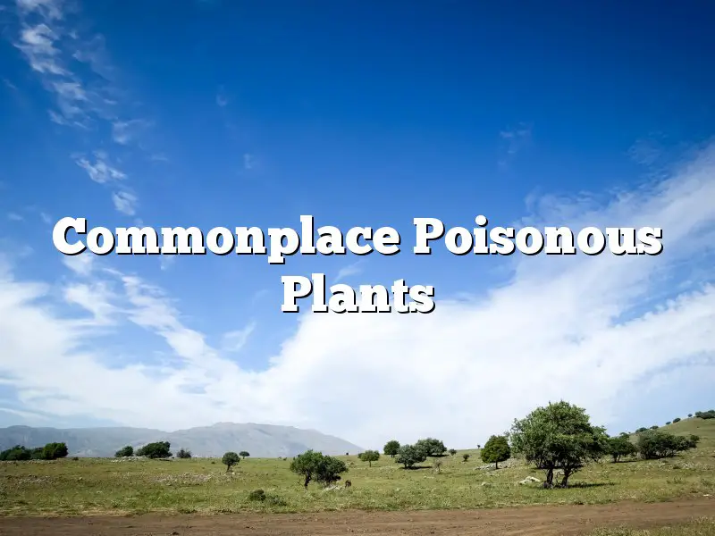 Commonplace Poisonous Plants