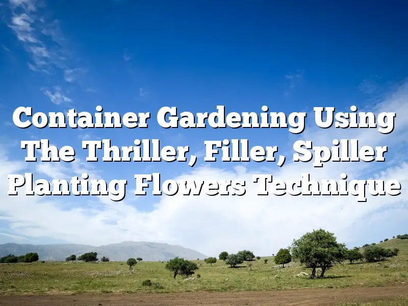 Container Gardening Using The Thriller, Filler, Spiller Planting Flowers Technique