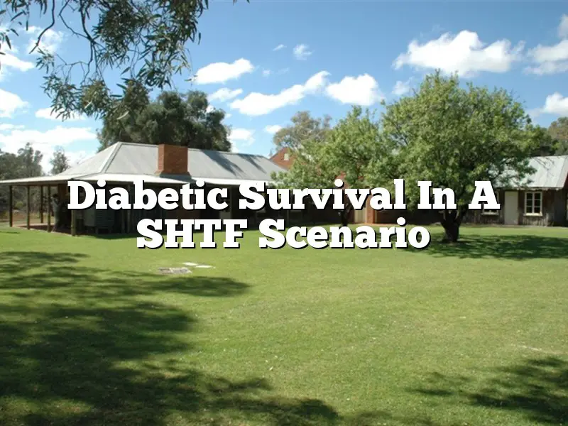 Diabetic Survival In A SHTF Scenario