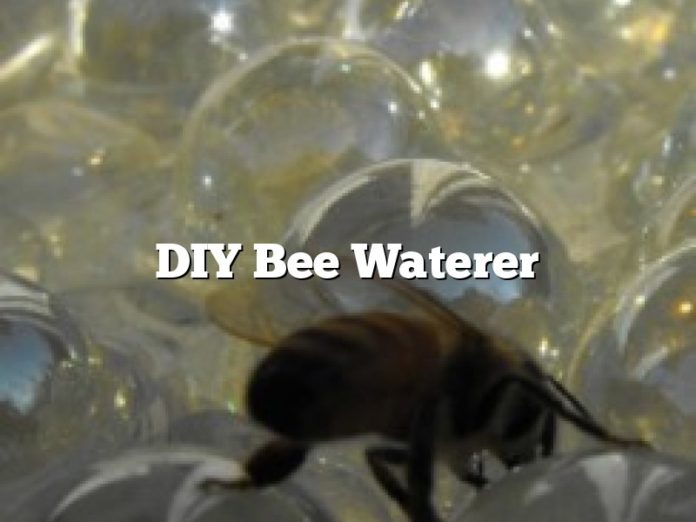 DIY Bee Waterer