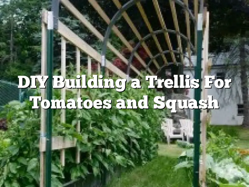 DIY Building a Trellis For Tomatoes and Squash