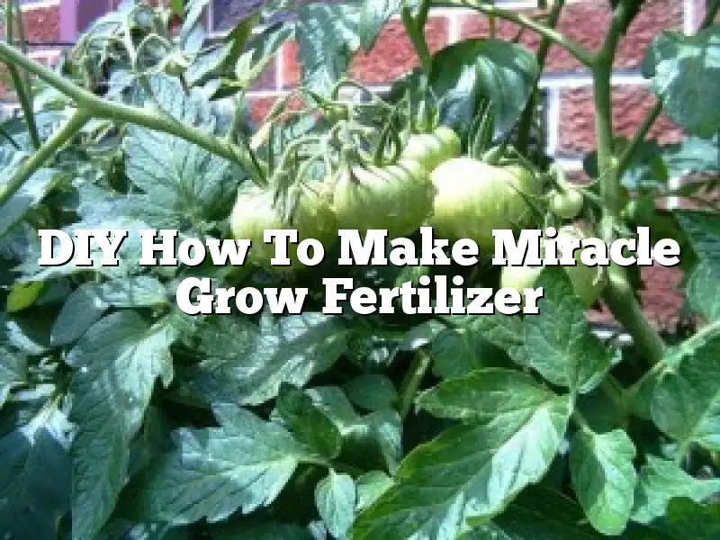 DIY  How To Make Miracle Grow Fertilizer