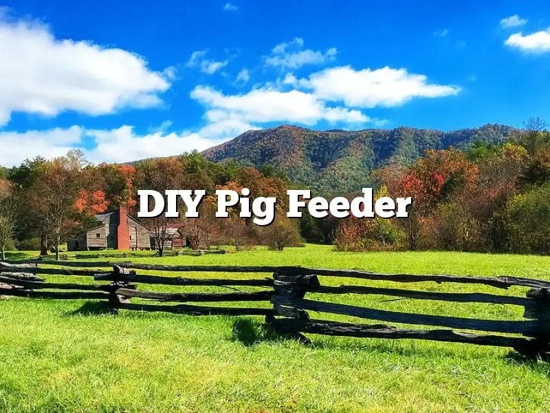 DIY Pig Feeder
