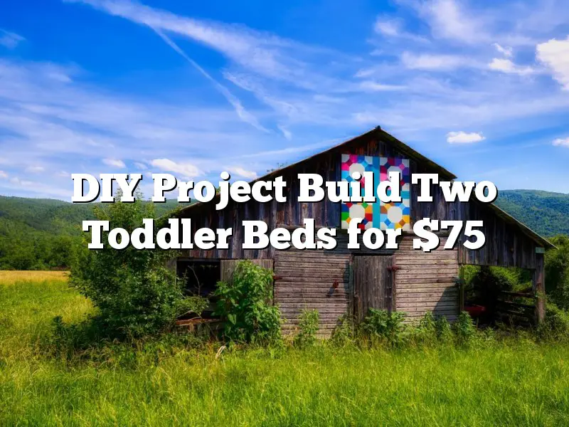 DIY Project Build Two Toddler Beds for $75