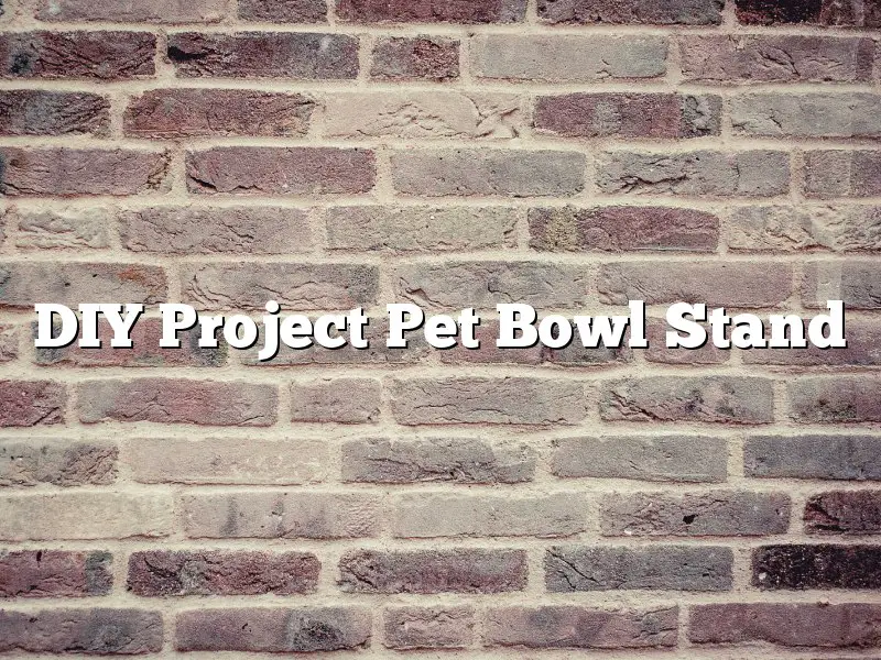 DIY Project Pet Bowl Stand