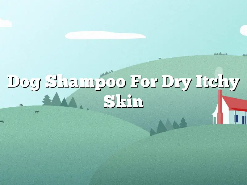 Dog Shampoo For Dry Itchy Skin
