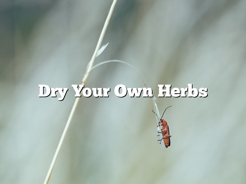 Dry Your Own Herbs