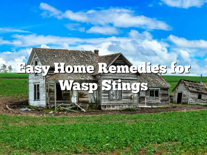 Easy Home Remedies for Wasp Stings