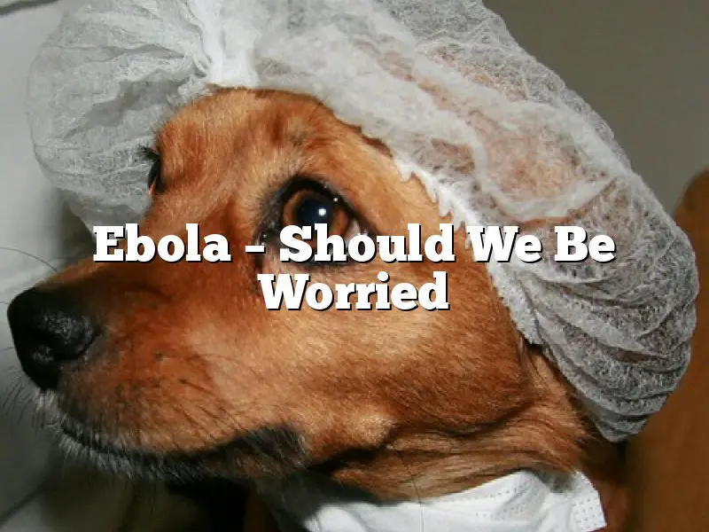 Ebola – Should We Be Worried