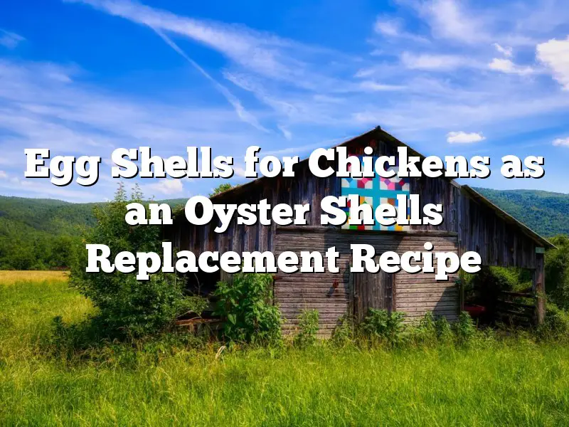 Egg Shells for Chickens as an Oyster Shells Replacement Recipe