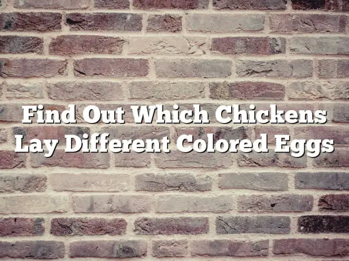 Find Out Which Chickens Lay Different Colored Eggs