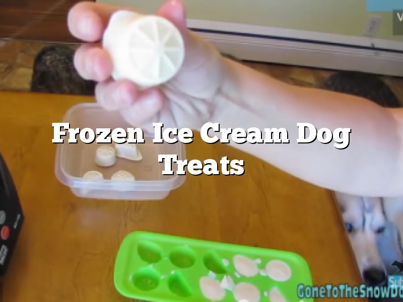 Frozen Ice Cream Dog Treats