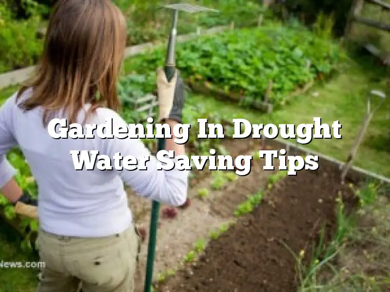 Gardening In Drought Water Saving Tips