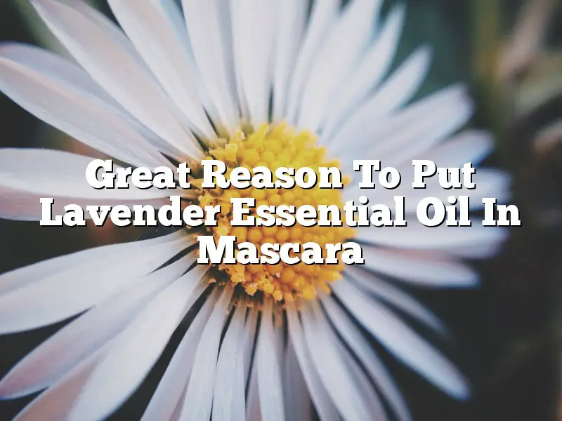 Great Reason To Put Lavender Essential Oil In Mascara