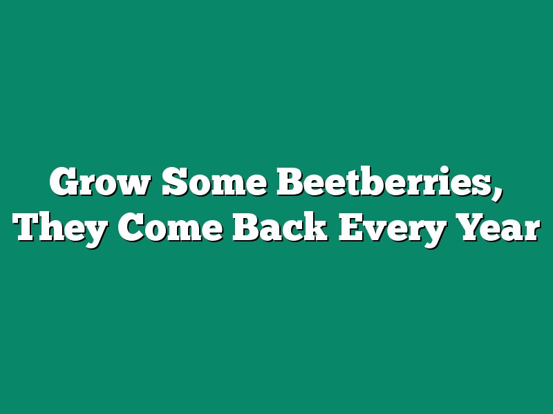Grow Some Beetberries, They Come Back Every Year