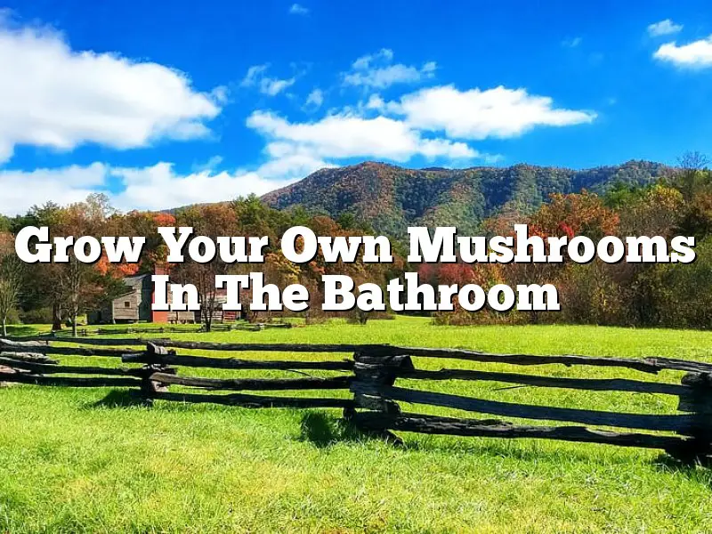 Grow Your Own Mushrooms In The Bathroom